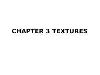 CHAPTER 3 TEXTURES.pptx